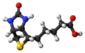 Example Molecule Structure Biotin - topic Synthetic Astaxanthin