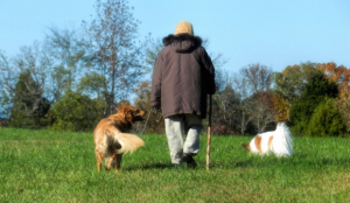 Walking Dog Relieve Back Pain